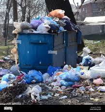 Reliable Trinity, FL Junk Removal Services Solutions
