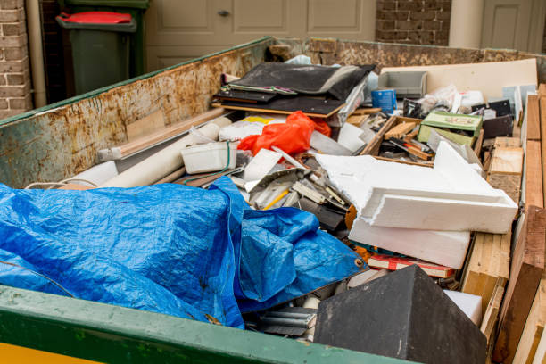Best Shed Removal  in Trinity, FL